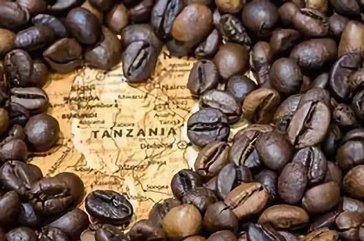 坦桑尼亚 咖啡.jpg